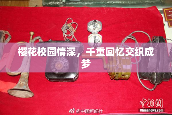 樱花校园情深，千重回忆交织成梦