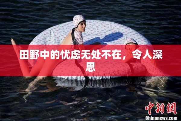 田野中的忧虑无处不在，令人深思