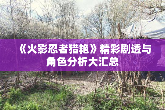 《火影忍者猎艳》精彩剧透与角色分析大汇总