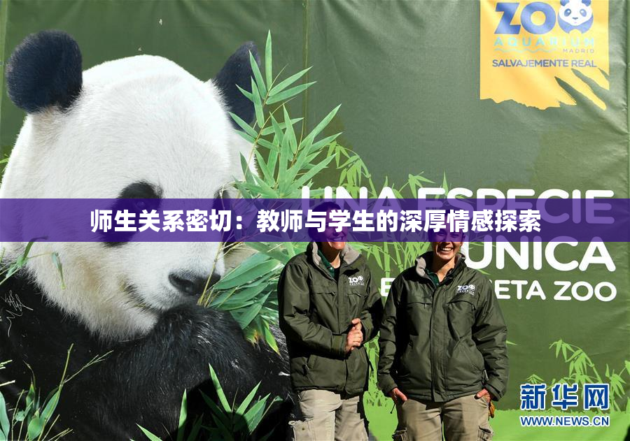 师生关系密切：教师与学生的深厚情感探索