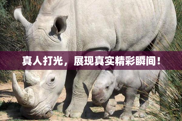 真人打光，展现真实精彩瞬间！