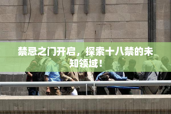 禁忌之门开启，探索十八禁的未知领域！