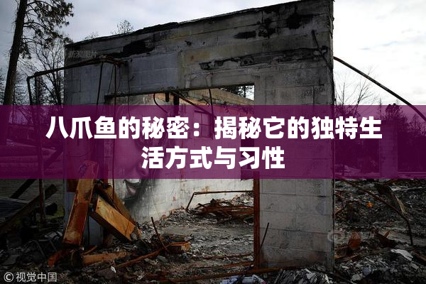 八爪鱼的秘密：揭秘它的独特生活方式与习性