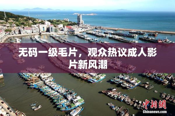 无码一级毛片，观众热议成人影片新风潮