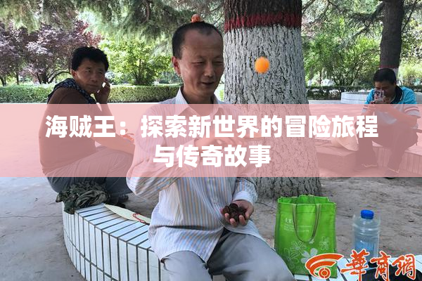 海贼王：探索新世界的冒险旅程与传奇故事