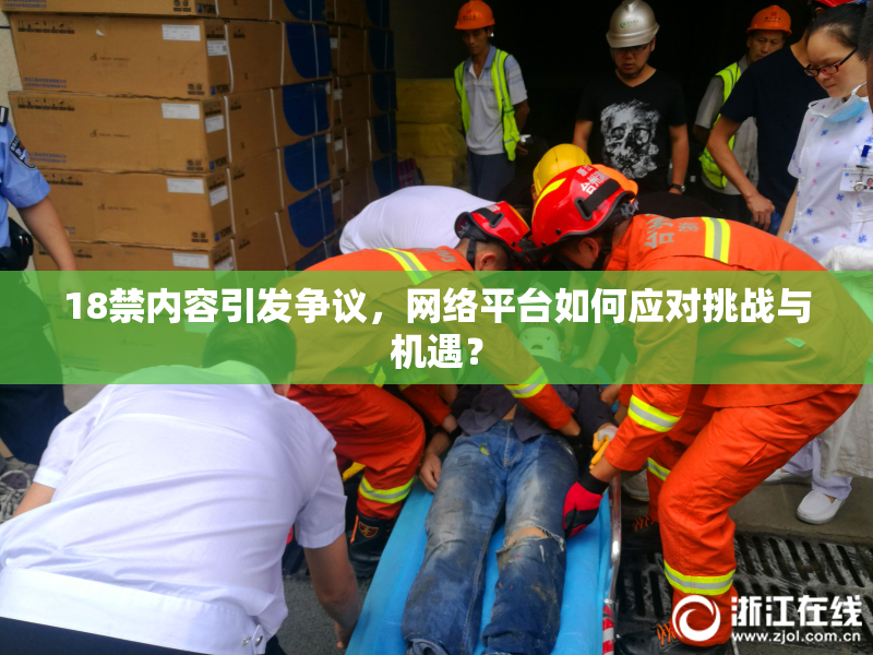 18禁内容引发争议，网络平台如何应对挑战与机遇？