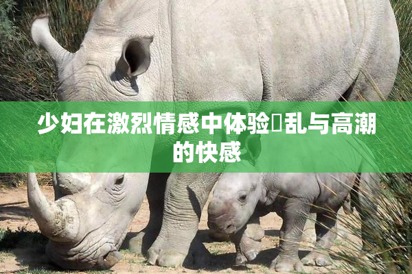 少妇在激烈情感中体验婬乱与高潮的快感