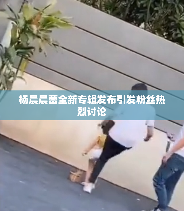 杨晨晨蕾全新专辑发布引发粉丝热烈讨论