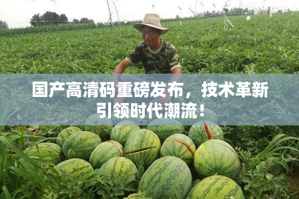 国产高清码重磅发布，技术革新引领时代潮流！