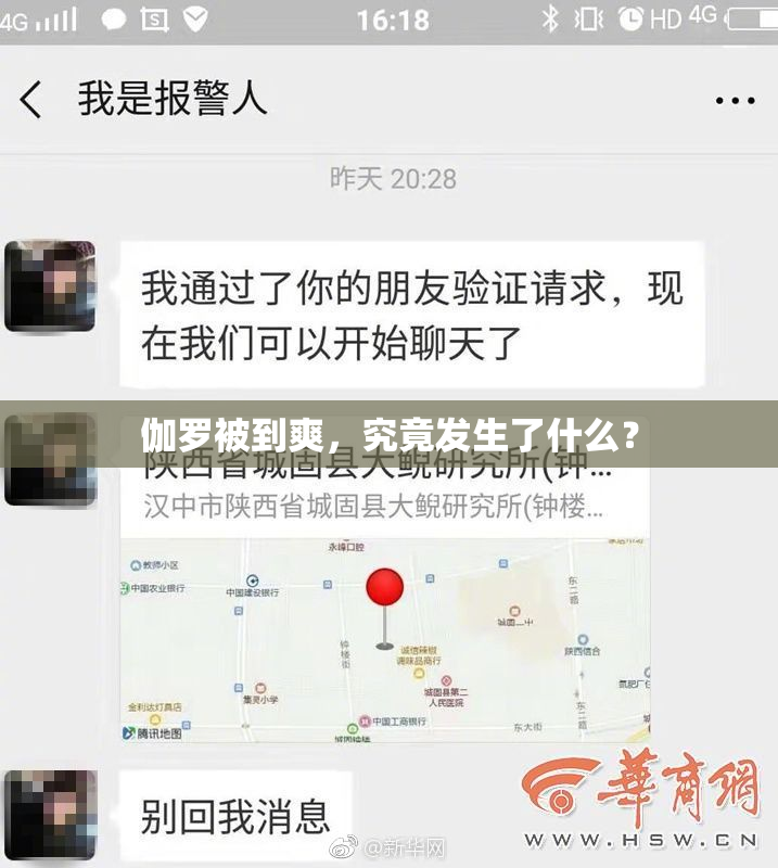 伽罗被到爽，究竟发生了什么？
