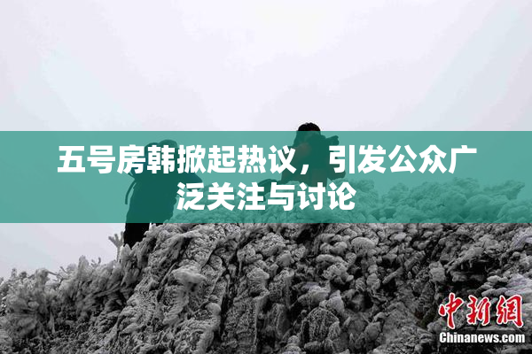 五号房韩掀起热议，引发公众广泛关注与讨论