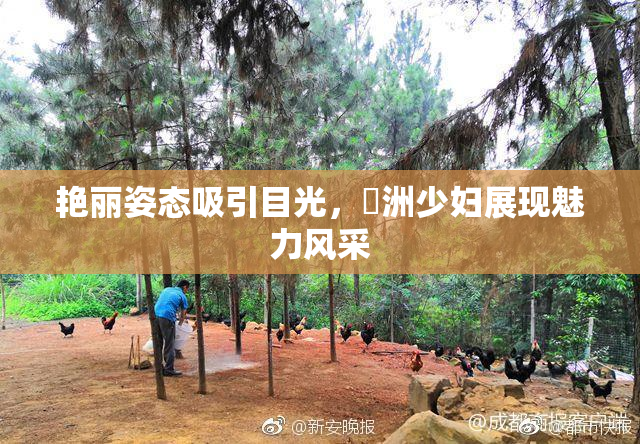 艳丽姿态吸引目光，亞洲少妇展现魅力风采