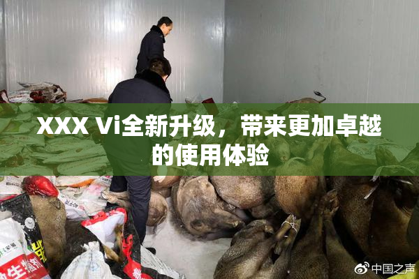 XXX Vi全新升级，带来更加卓越的使用体验