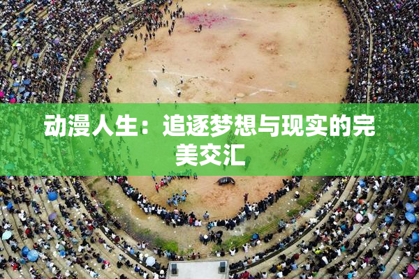 动漫人生：追逐梦想与现实的完美交汇