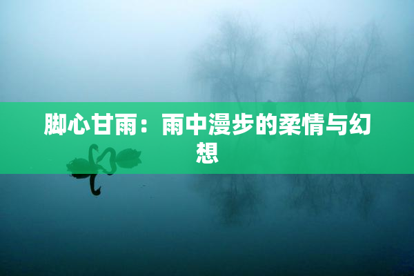 脚心甘雨：雨中漫步的柔情与幻想