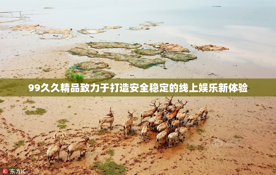 99久久精品致力于打造安全稳定的线上娱乐新体验