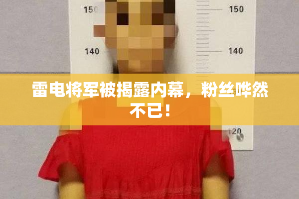 雷电将军被揭露内幕，粉丝哗然不已！