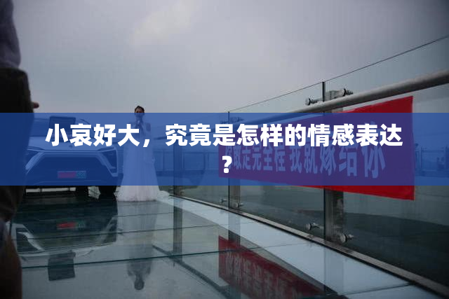 小哀好大，究竟是怎样的情感表达？