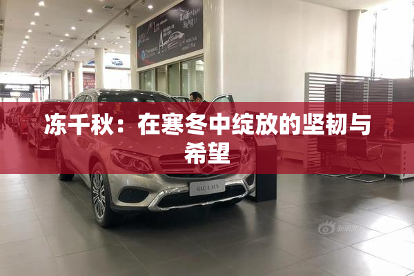 冻千秋：在寒冬中绽放的坚韧与希望