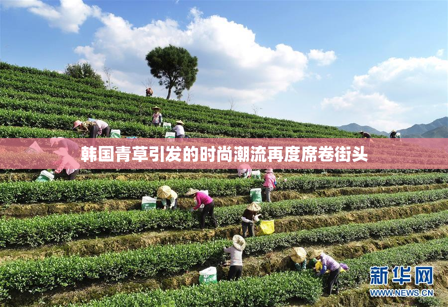 韩国青草引发的时尚潮流再度席卷街头