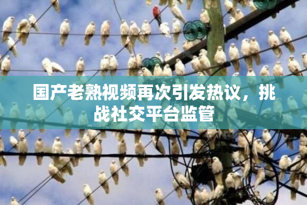 国产老熟视频再次引发热议，挑战社交平台监管