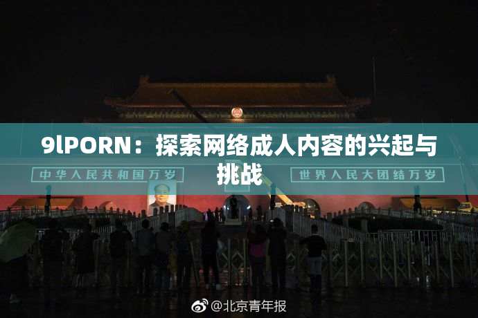 9lPORN：探索网络成人内容的兴起与挑战