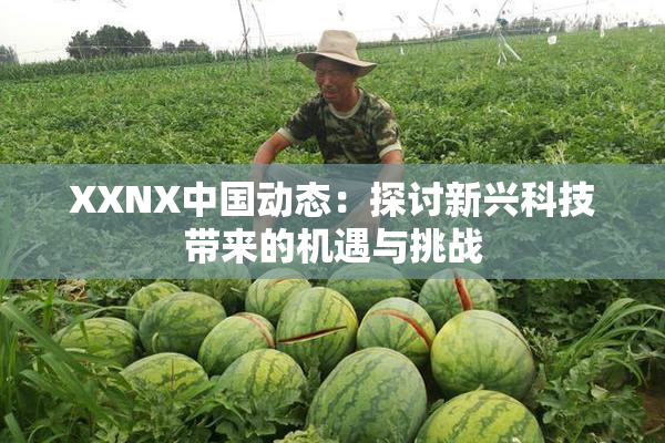XXNX中国动态：探讨新兴科技带来的机遇与挑战