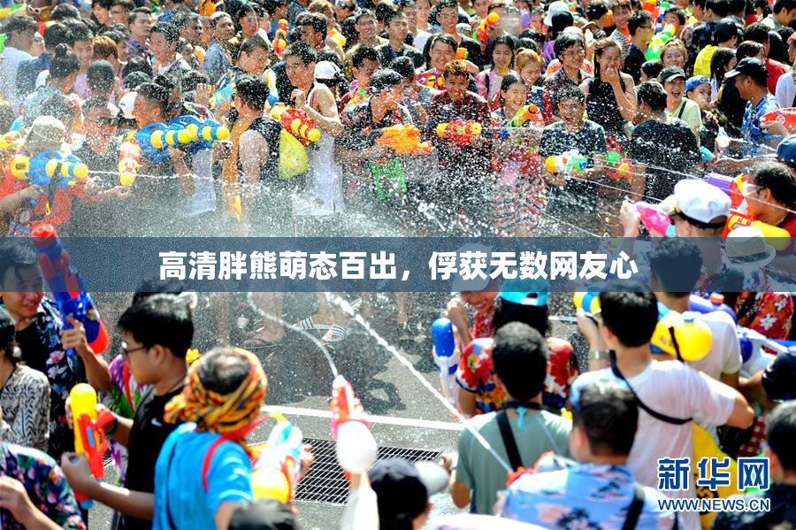 高清胖熊萌态百出，俘获无数网友心