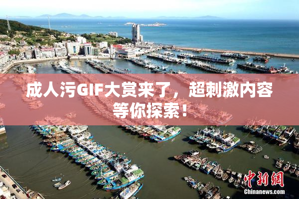 成人污GIF大赏来了，超刺激内容等你探索！