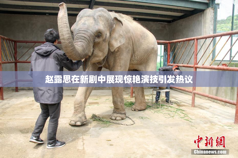 赵露思在新剧中展现惊艳演技引发热议