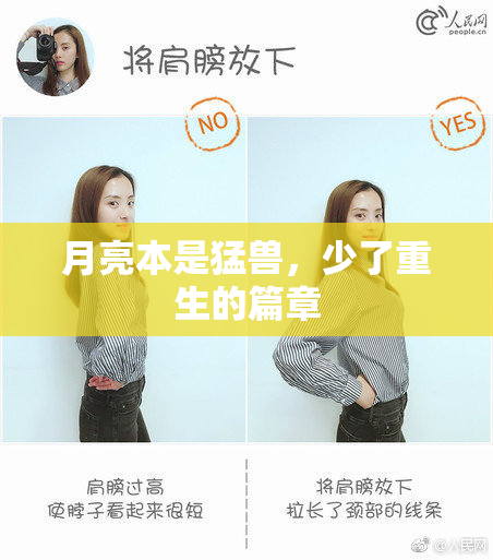 月亮本是猛兽，少了重生的篇章