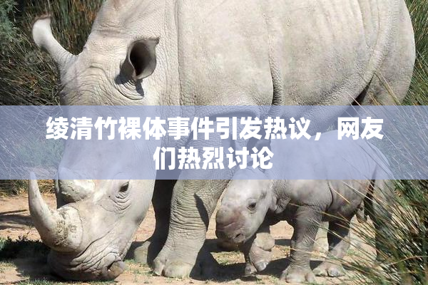绫清竹裸体事件引发热议，网友们热烈讨论