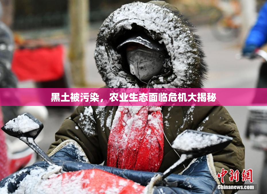 黑土被污染，农业生态面临危机大揭秘