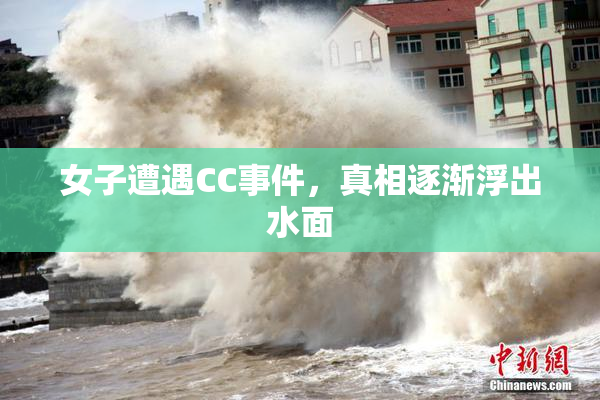 女子遭遇CC事件，真相逐渐浮出水面
