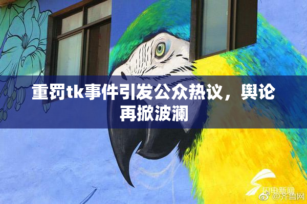 重罚tk事件引发公众热议，舆论再掀波澜