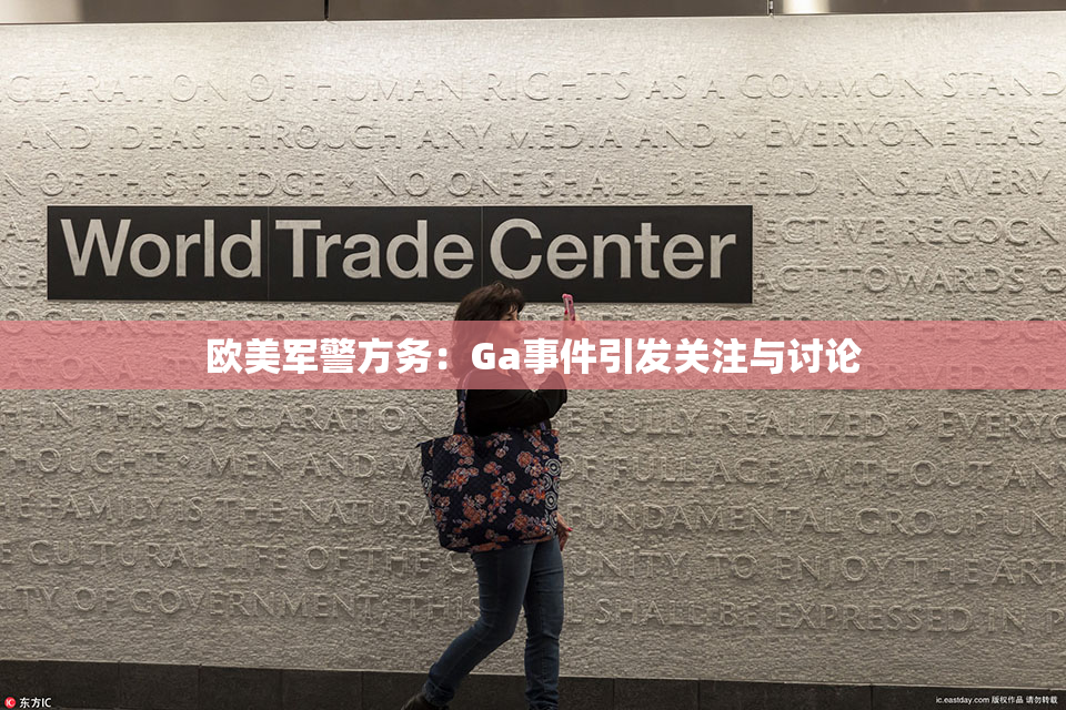 欧美军警方务：Ga事件引发关注与讨论