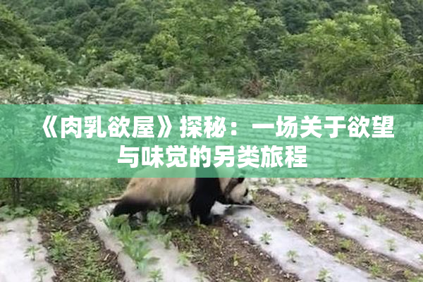 《肉乳欲屋》探秘：一场关于欲望与味觉的另类旅程