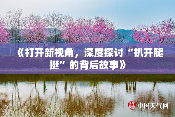 《打开新视角，深度探讨“扒开腿挺”的背后故事》