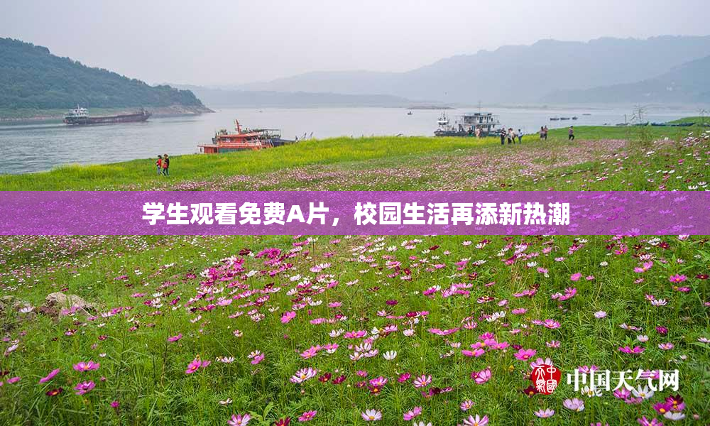 学生观看免费A片，校园生活再添新热潮