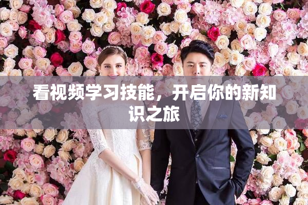 看视频学习技能，开启你的新知识之旅