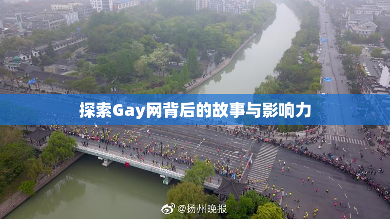 探索Gay网背后的故事与影响力