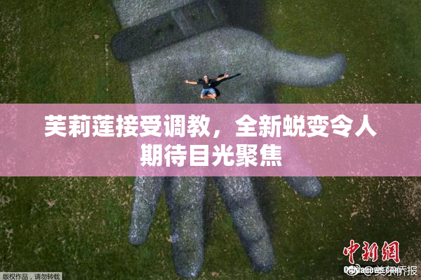 芙莉莲接受调教，全新蜕变令人期待目光聚焦