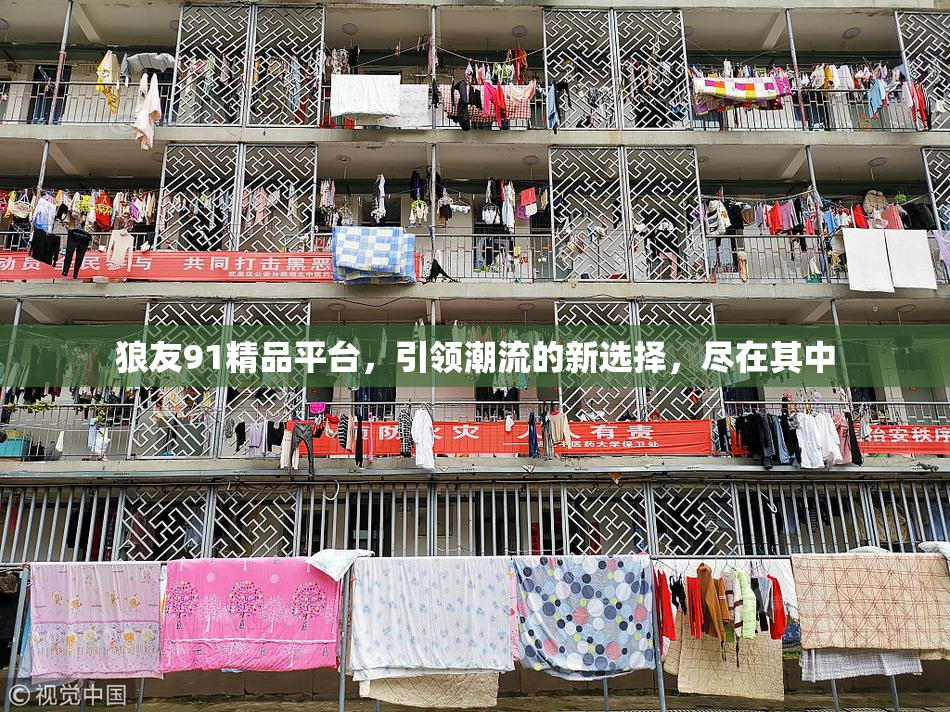 狼友91精品平台，引领潮流的新选择，尽在其中