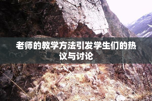 老师的教学方法引发学生们的热议与讨论