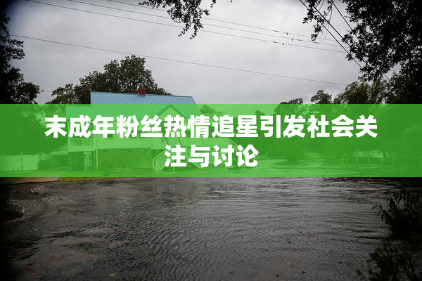 末成年粉丝热情追星引发社会关注与讨论