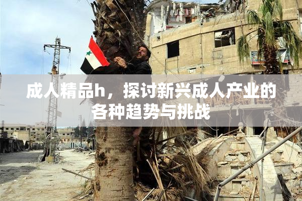 成人精品h，探讨新兴成人产业的各种趋势与挑战
