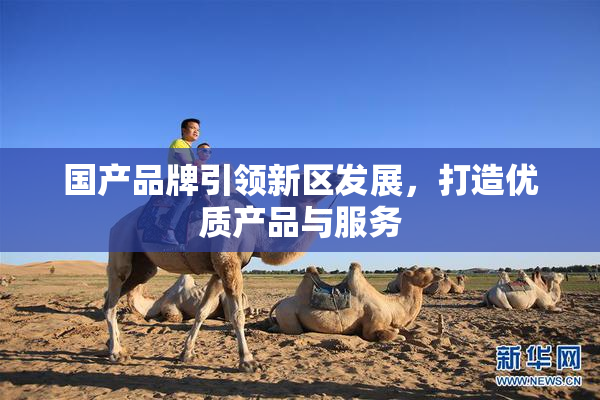 国产品牌引领新区发展，打造优质产品与服务