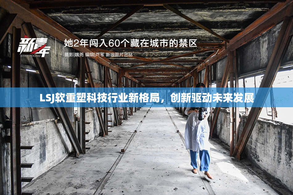 LSJ软重塑科技行业新格局，创新驱动未来发展