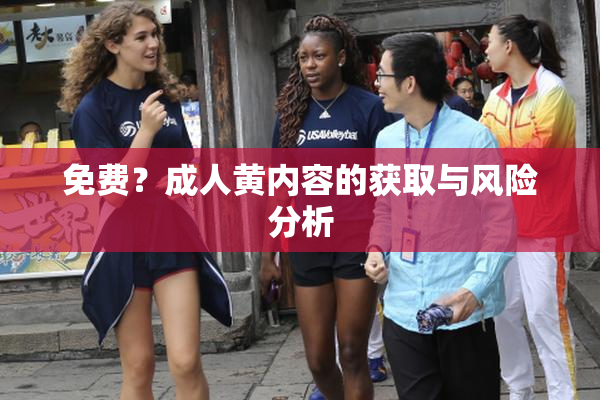 免费？成人黄内容的获取与风险分析