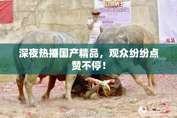 深夜热播国产精品，观众纷纷点赞不停！